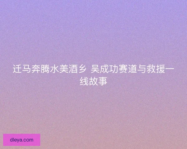 迁马奔腾水美酒乡 吴成功赛道与救援一线故事